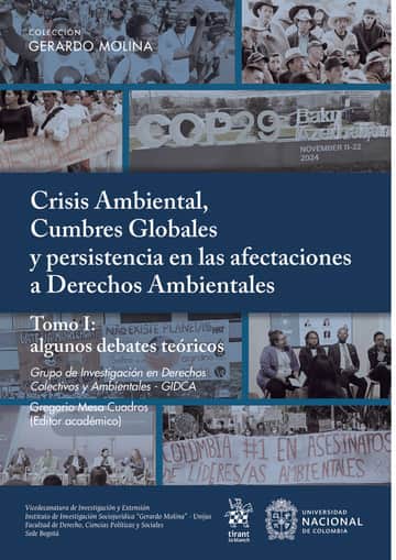 Crisis Ambiental, Cumbres Globales y persistencia en las afectaciones a Derechos Ambientales