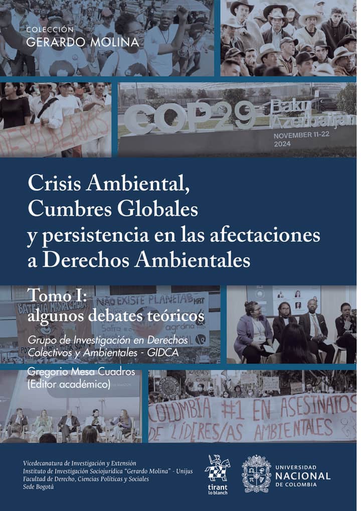 Crisis Ambiental, Cumbres Globales y persistencia en las afectaciones a Derechos Ambientales: Tomo 2: Algunos estudios de caso