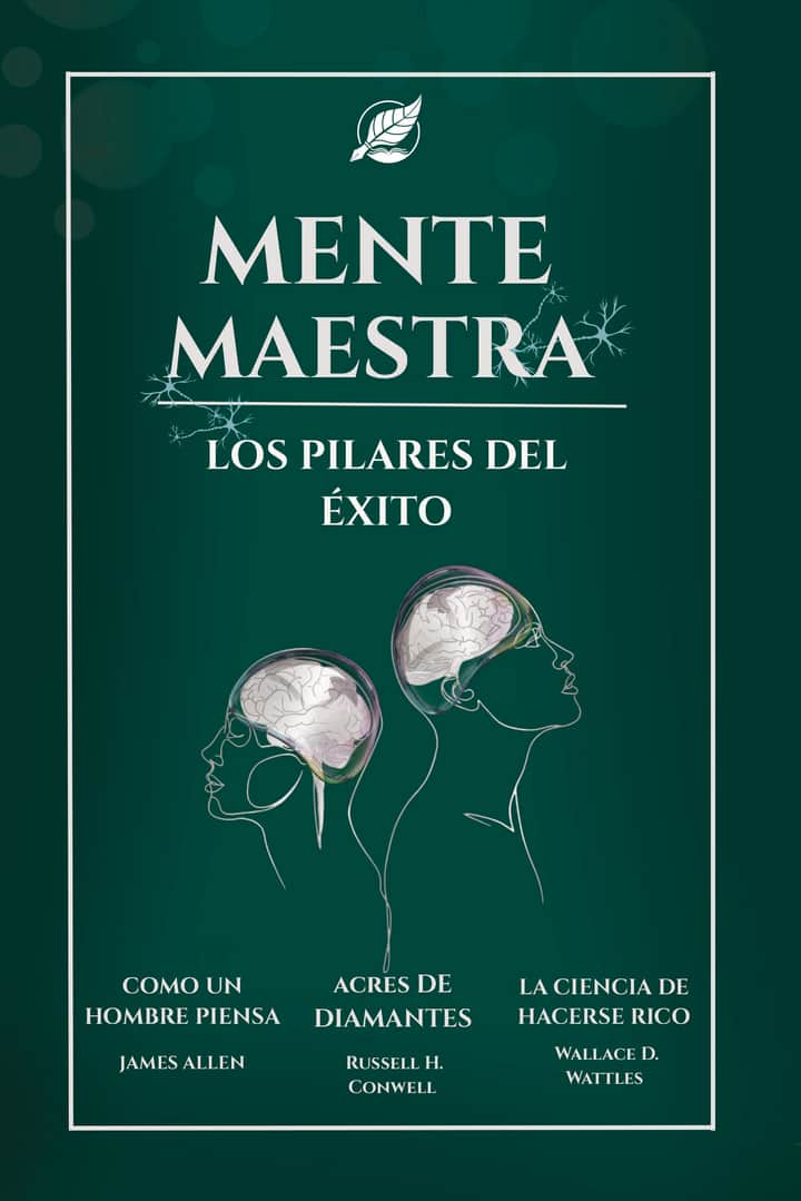 Mente maestra: LOS PILARES DEL ÉXITO