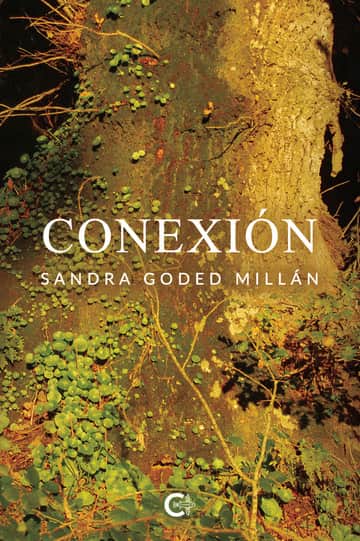 Conexión