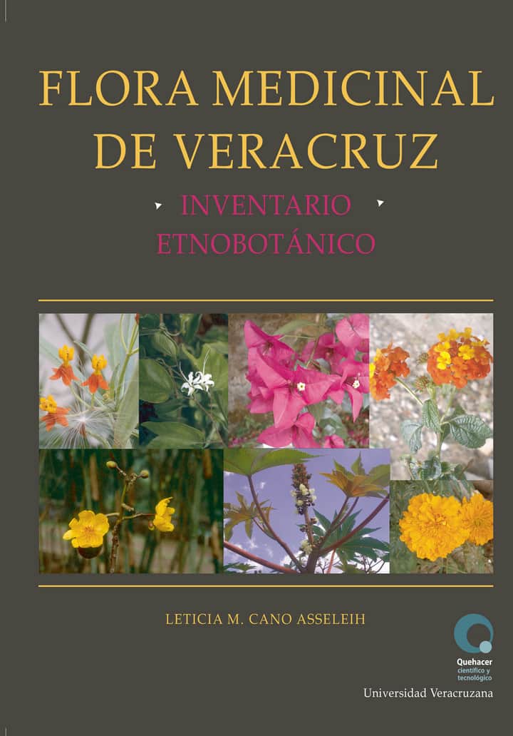 Flora medicinal de Veracruz : inventario etnobotánico