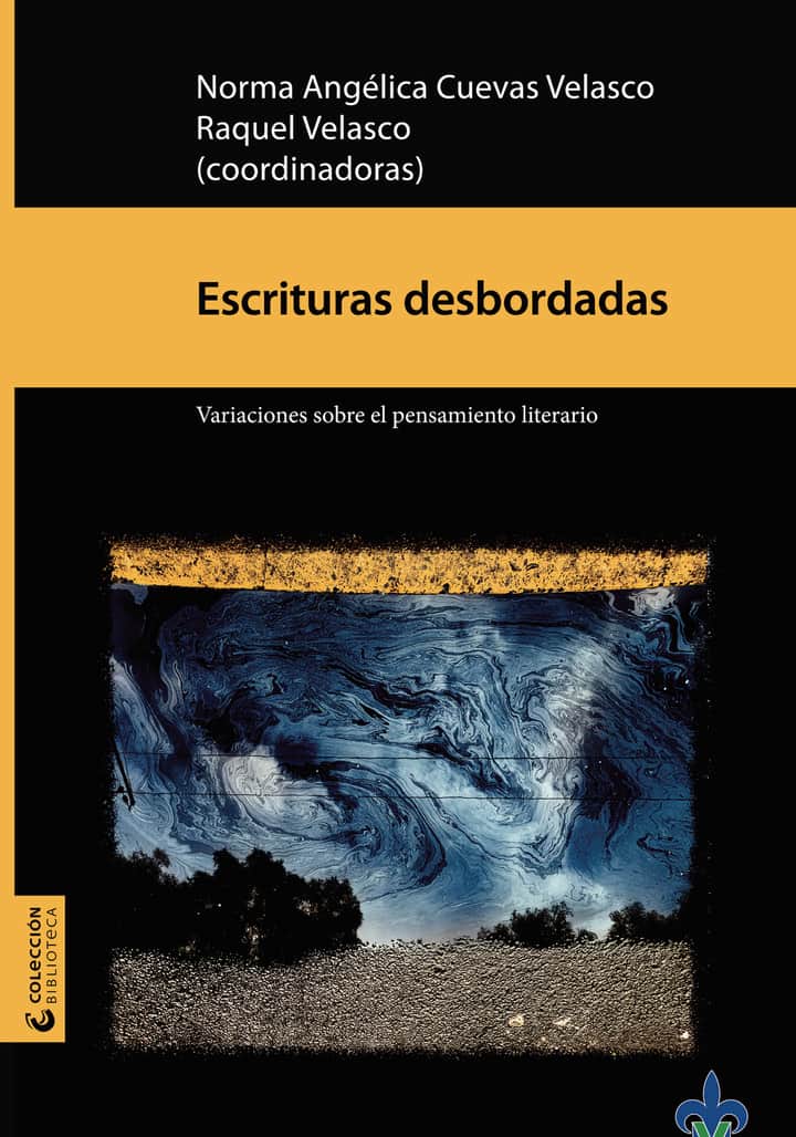 Escrituras desbordadas : variaciones sobre el pensamiento literario