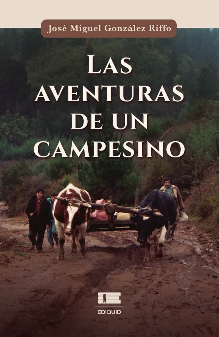 Las aventuras de un campesino