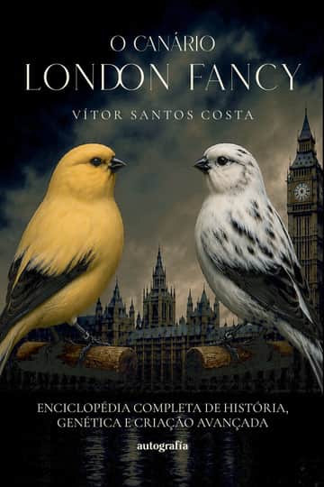 O canário London Fancy