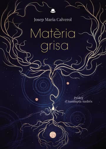 Matèria grisa