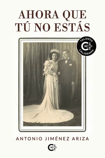 Ahora que tú no estás