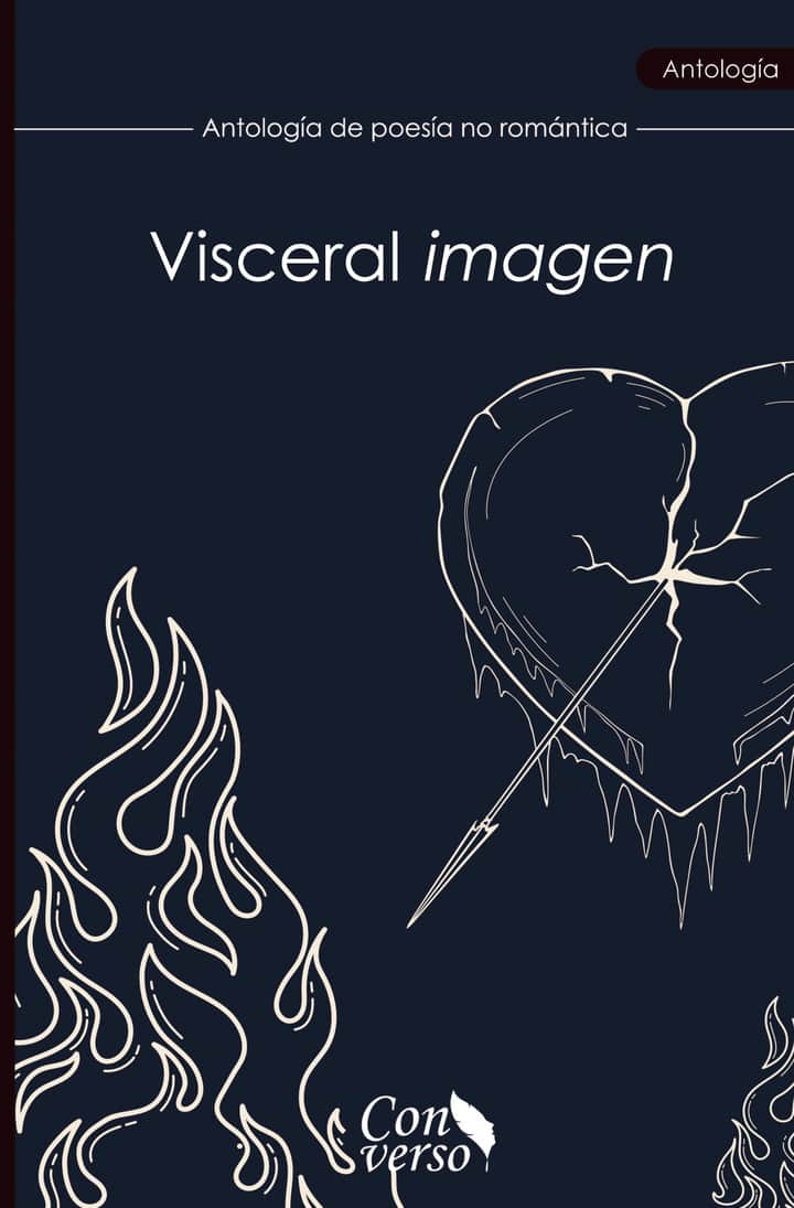 Visceral imagen