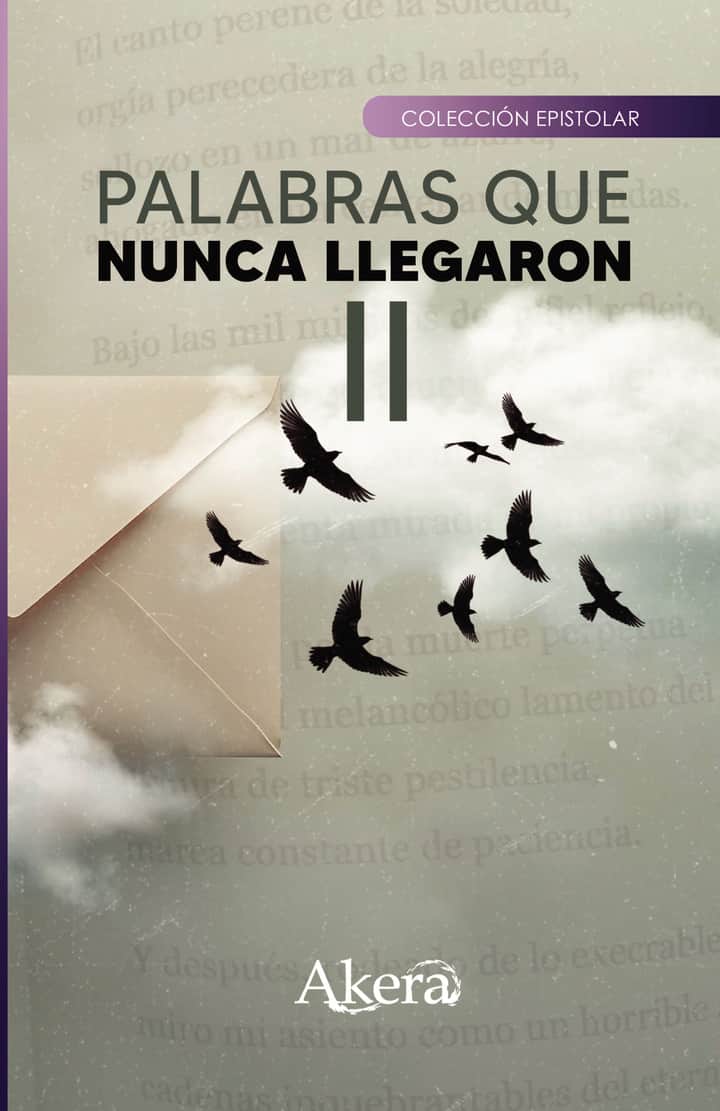 Palabras que nunca llegaron II