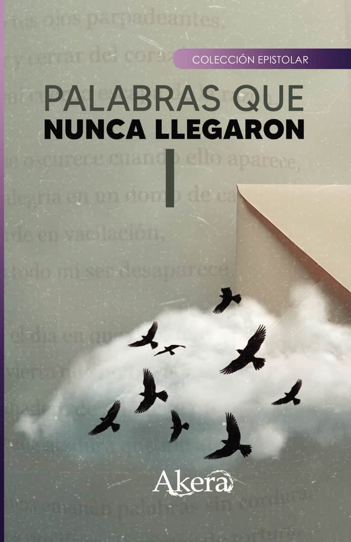 Palabras que nunca llegaron I