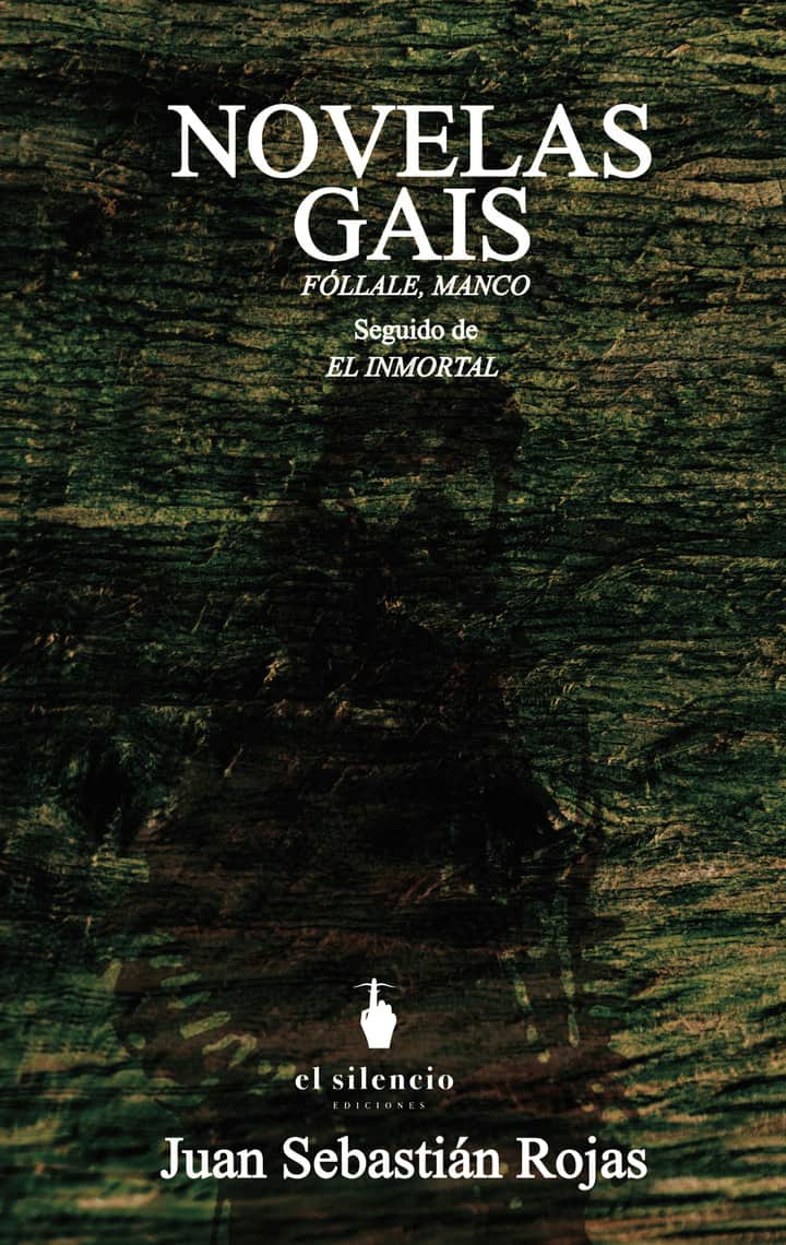 Novelas Gais