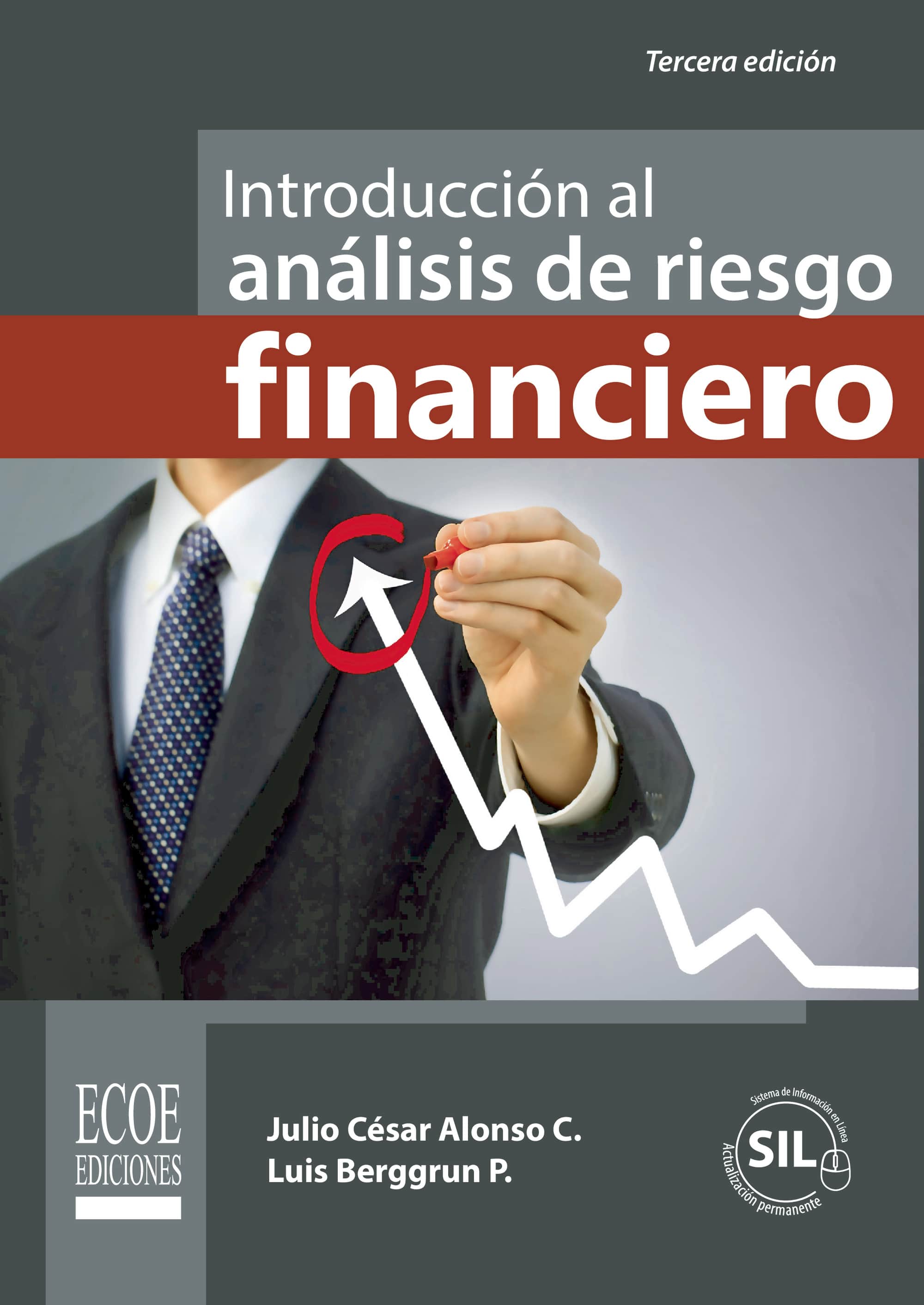 Introducción al análisis de riesgo financiero
