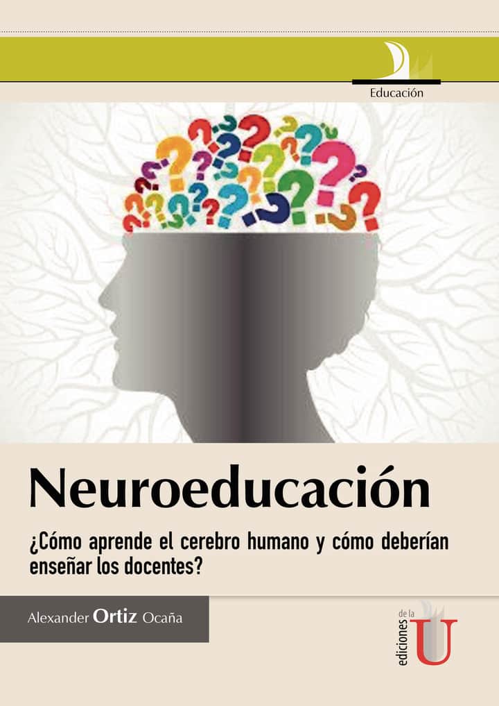 Neuroeducación ¿Cómo aprende el cerebro humano y cómo deberían enseñar los docentes?