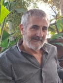 Rafel Mollar