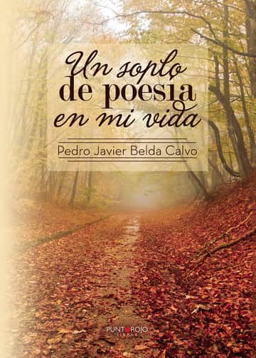 Un soplo de poesía en mi vida (BD)