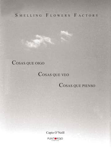 Cosas que oigo, cosas que veo, cosas que pienso