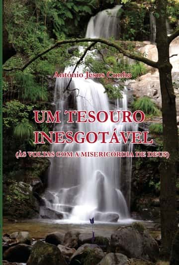 Um Tesouro Inesgotável: (Às voltas com a Misericórdia de Deus)