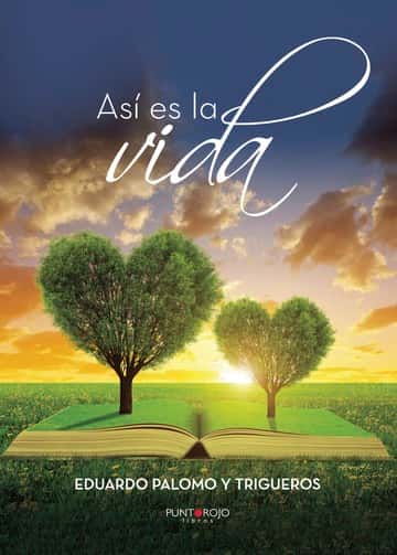 Así es la vida