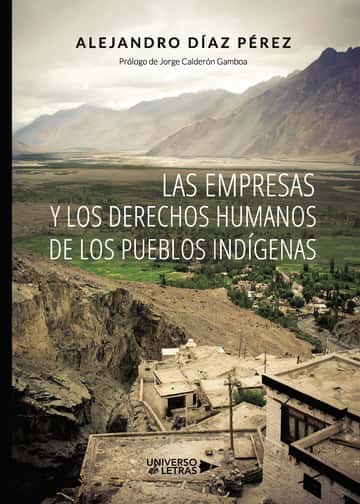 Las empresas y los derechos humanos de los Pueblos Indígenas
