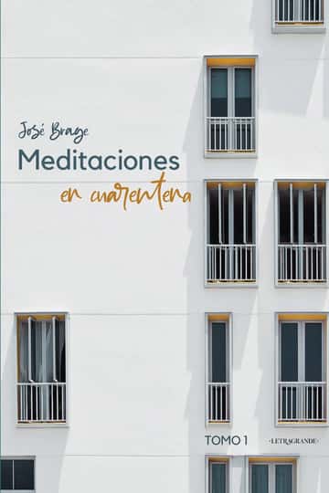 Meditaciones en cuarentena: Tomo I