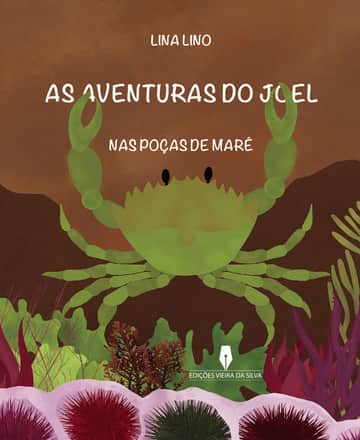 AS AVENTURAS DO JOEL NAS POÇAS DE MARÉ