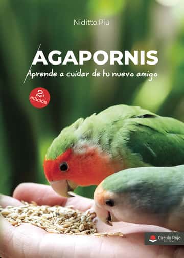 Agapornis. Aprende a cuidar de tu nuevo amigo