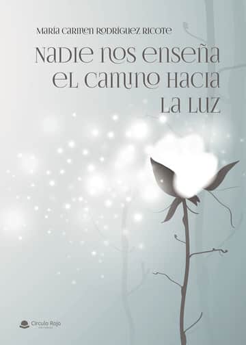 Nadie nos enseña el camino hacia la luz