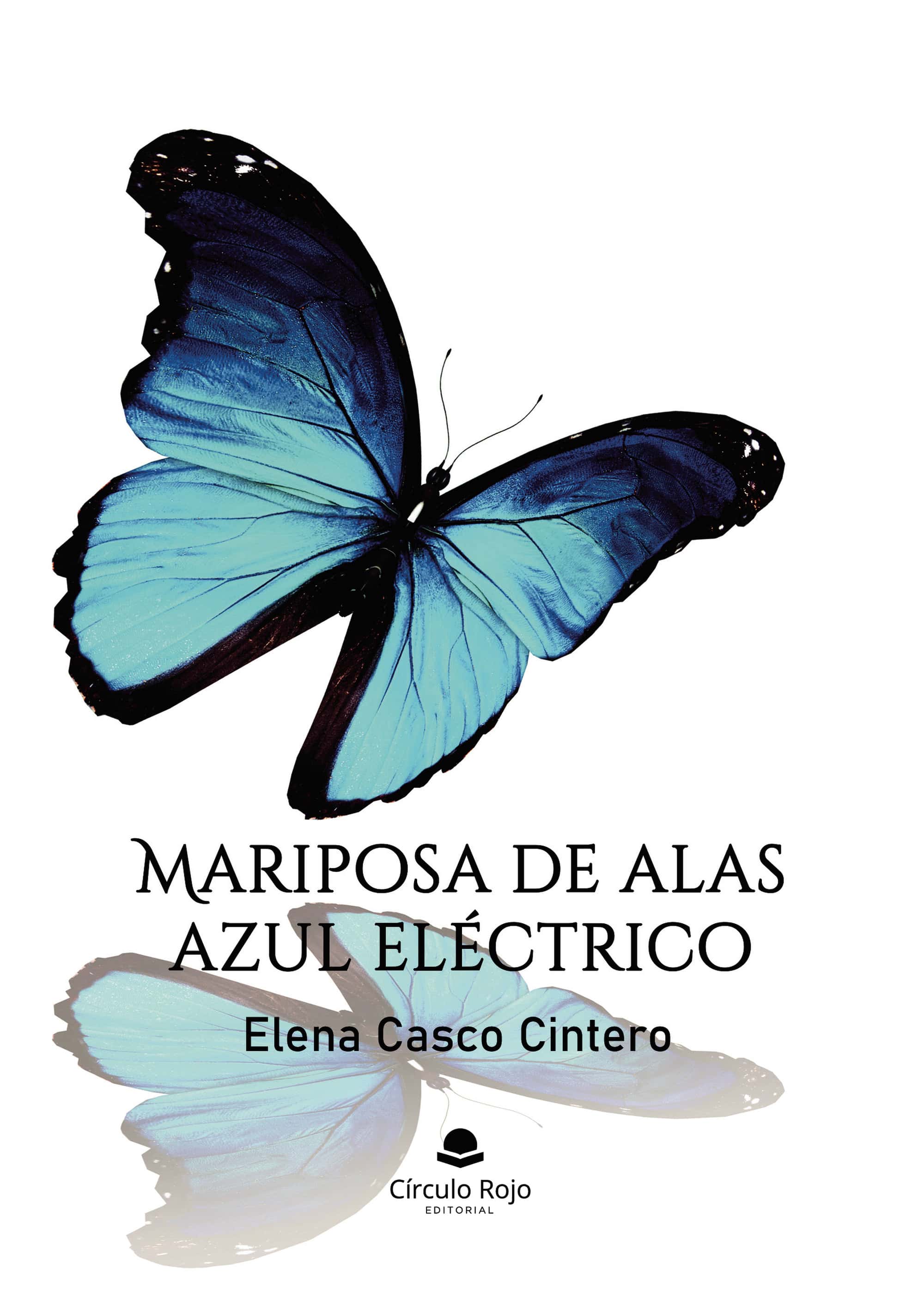 Mariposa de alas azul eléctrico