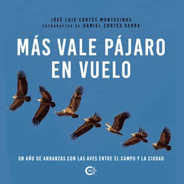 Más vale pájaro en vuelo: Un año de andanzas con las aves entre el campo y la ciudad