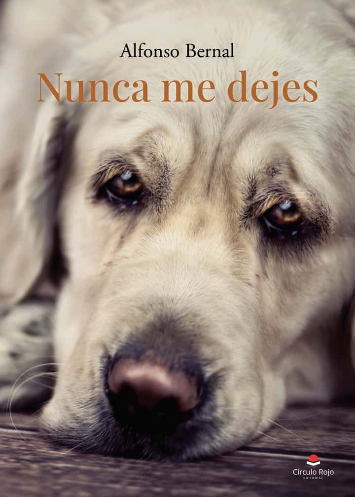Nunca me dejes