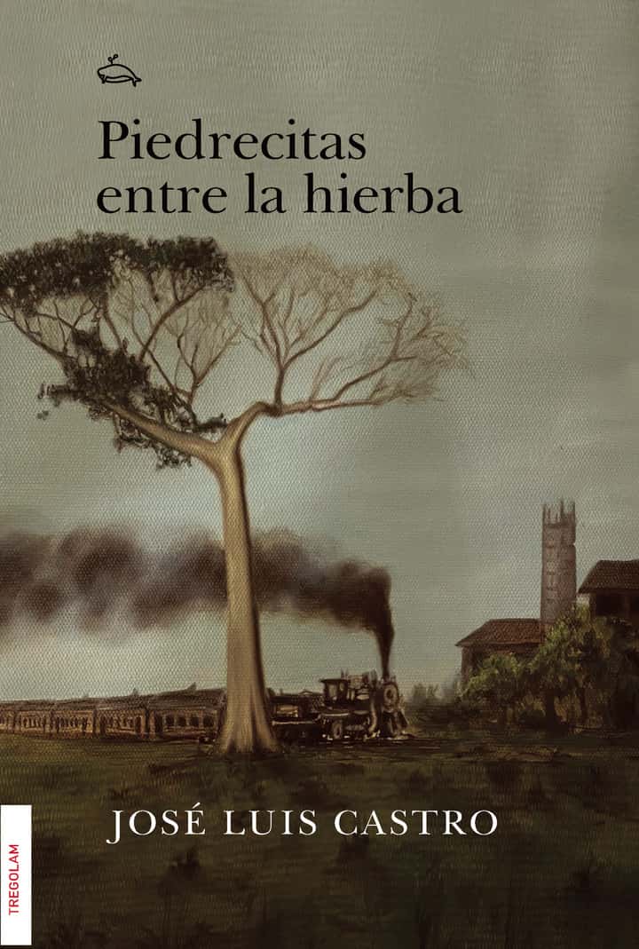 Piedrecitas entre la hierba