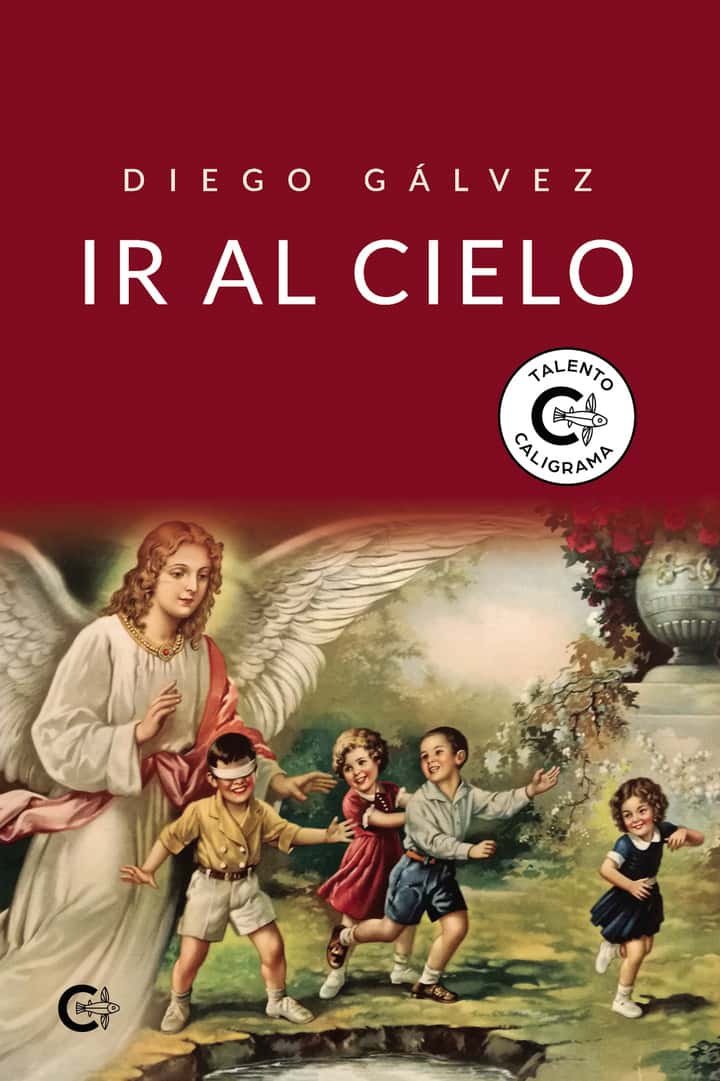 Ir al cielo