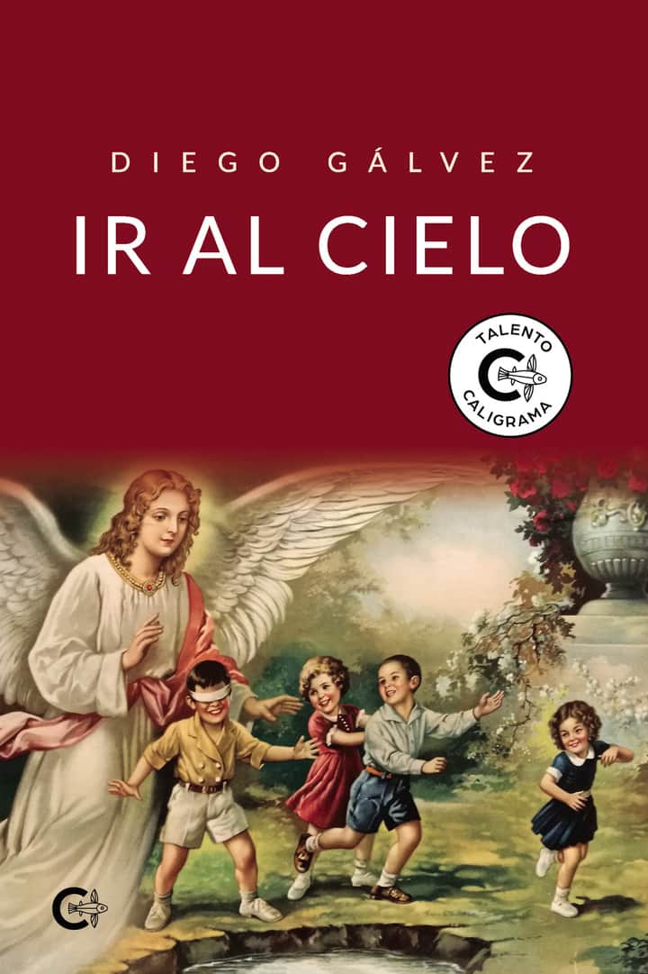 Ir al cielo