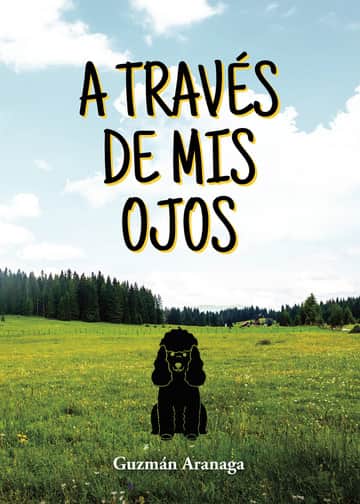 A través de mis ojos