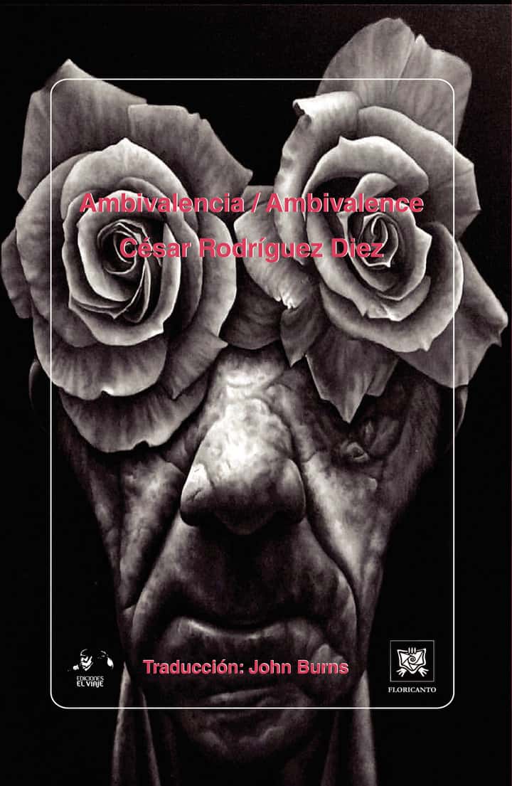 Ambivalencia/ Ambivalence