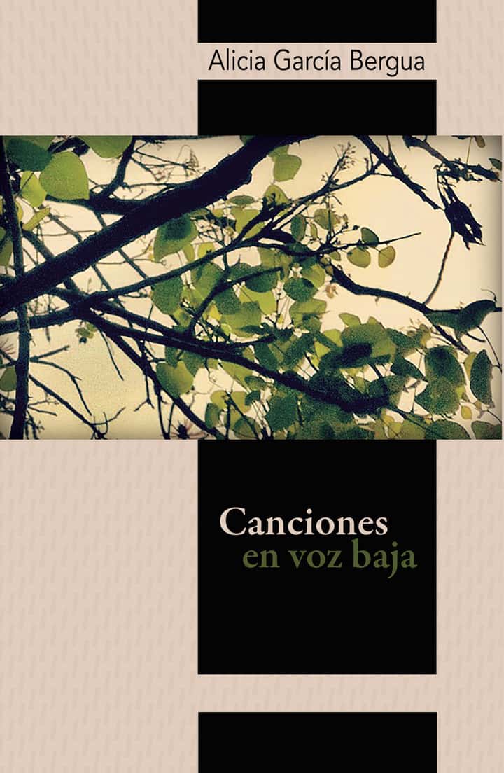 Canciones en voz baja