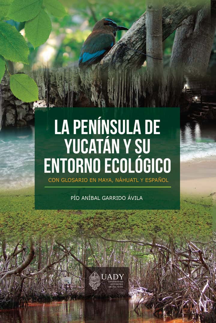 La península de Yucatán y su entorno ecológico: Con glosario en maya, náhuatl y español