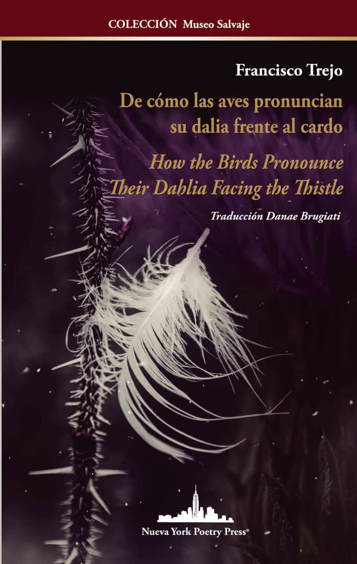 De cómo las aves pronuncian su dalia frente al cardo / How the Birds Pronounce Their Dahlia Facing the Thistle