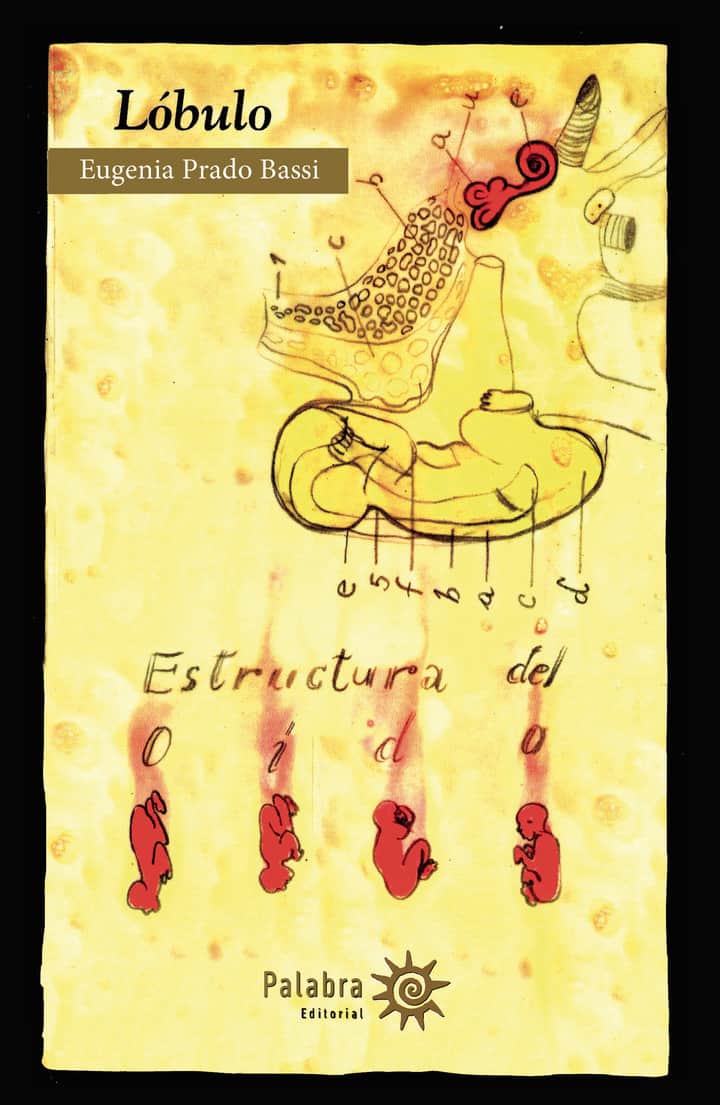 Lóbulo