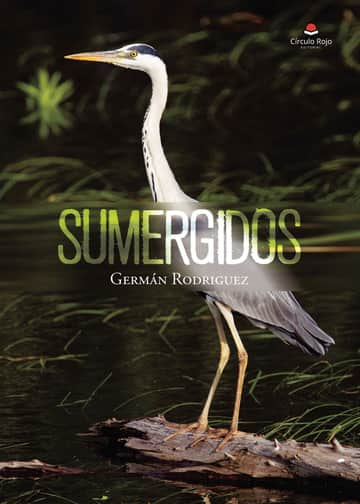 Sumergidos
