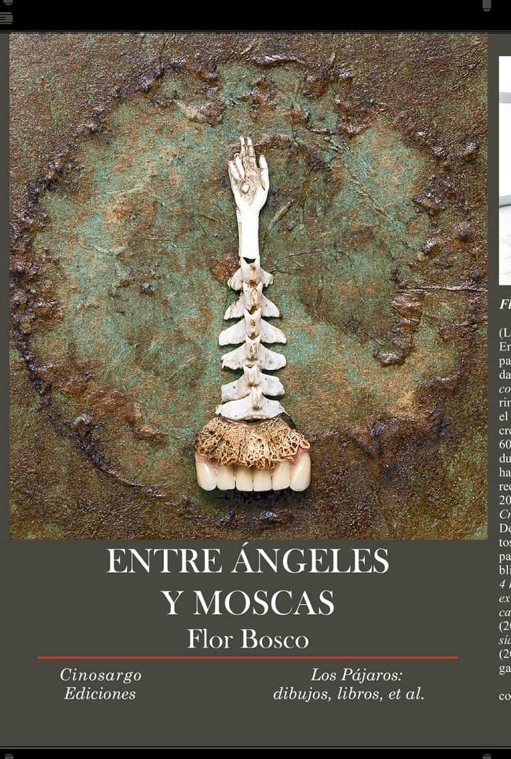 Entre ángeles y moscas