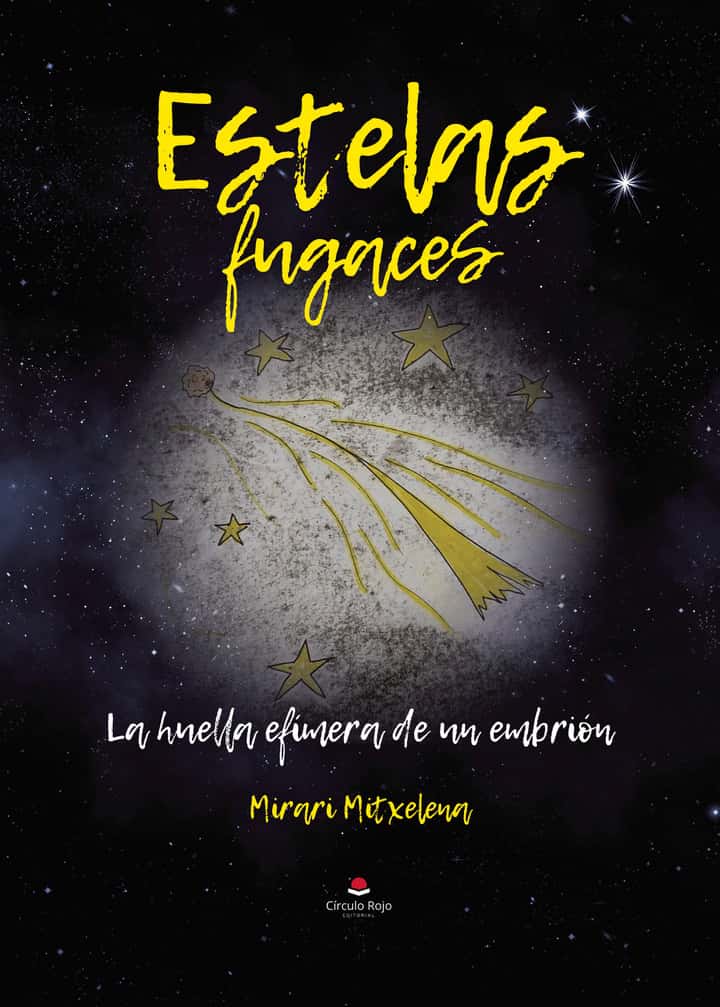 Estelas fugaces. La huella efímera de un embrión