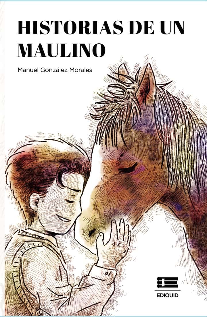 Historias de un maulino