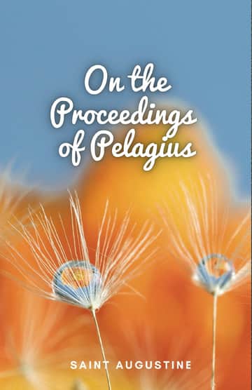 On the Proceedings of Pelagius