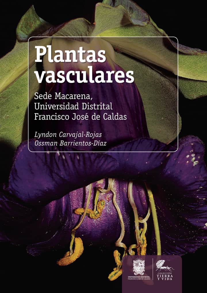Plantas vasculares: Sede macarena, Universidad Distrital Francisco José de Caldas