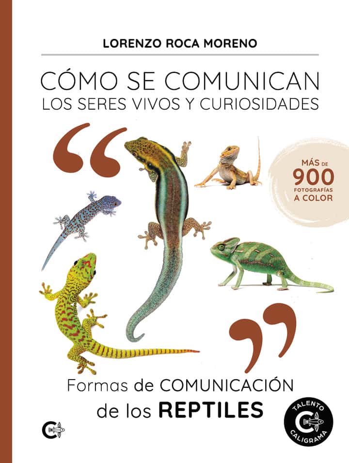 Formas de comunicación de los reptiles: Cómo se comunican los seres vivos y curiosidades