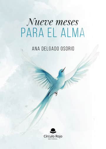 Nueve meses para el alma