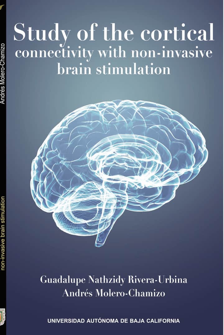 Study of the cortical connectivity with non-invasive brain stimulation