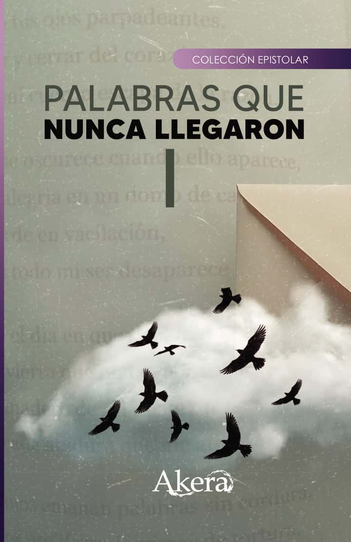 Palabras que nunca llegaron I