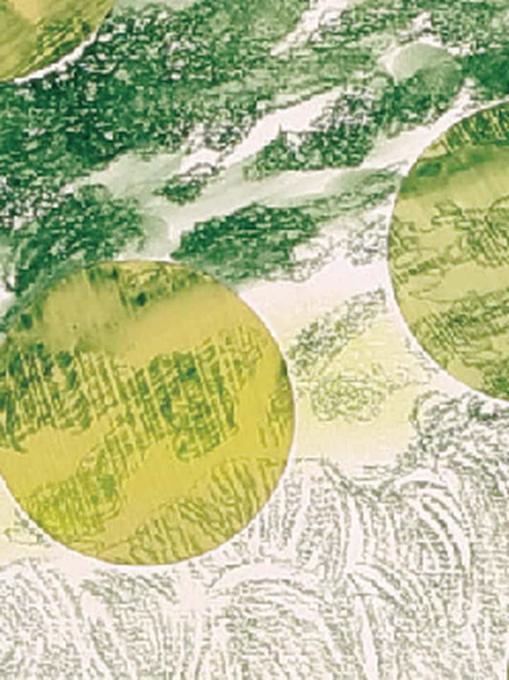 Ecotonos Urbanos La regeneración de la ciudad latinoamericana: exploraciones desde el Área Metropolitana de Guadalajara
